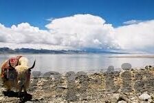91传媒麻豆-网络背后的虚拟舞台——91传媒与麻豆的多元互动