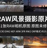 大象传媒视频正片-探索大象传媒视频正片的魅力与影响