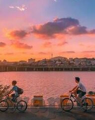 麻豆91入口-网络时代的视觉探索，麻豆91的多元魅力与内容探讨