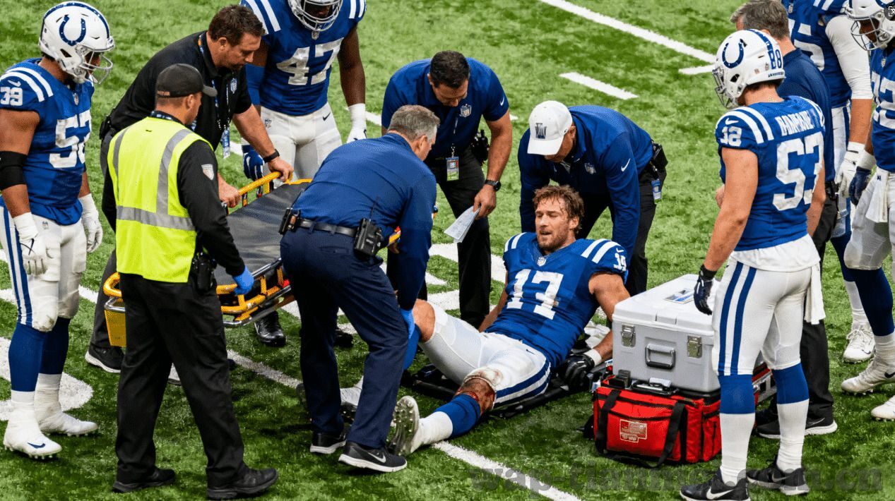 麻豆日记app下载新版本-麻豆日记APP下载，解锁个性化记录新体验