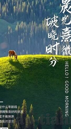 麻豆视频下载-麻豆视频下载，当代观影的一站式解决方案