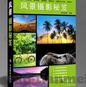 女教师伦理片-女教师伦理的微妙平衡，在教化与人性间的探索