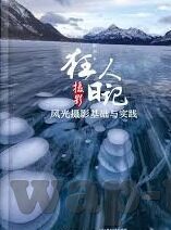 日韩在线中文字幕-探索日韩影视文化的独特魅力，日韩在线中文字幕的桥梁作用