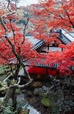 天美,麻豆,果冻,蜜桃传媒-探索数字娱乐的多元维度，天美、麻豆、果冻与蜜桃传媒的创意交织