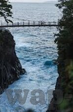 最近中文字幕mv免费高清在线-解锁高清视界，免费中文字幕MV的最新潮流